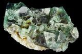 Fluorite Crystal Cluster - Rogerley Mine #106101-1